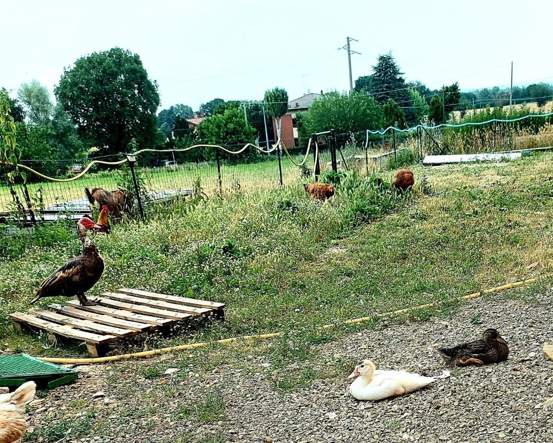 Agriturismo Azienda Agricola Ferrari M.Rita Pozza 外观 照片